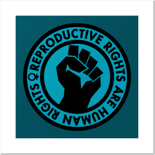 Reproductive Rights are Human Rights (teal) Posters and Art